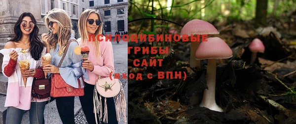 твердый Армянск