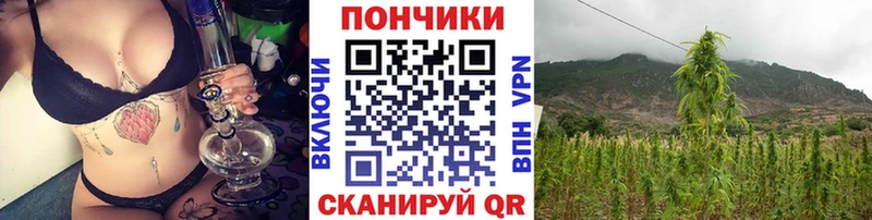 где можно купить   гидра tor  Шишки марихуана VHQ  Баймак 